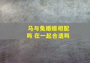 马与兔婚姻相配吗 在一起合适吗